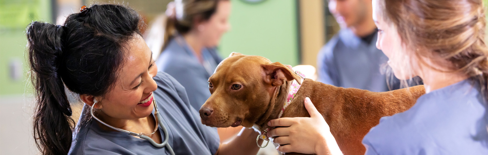 iStock-1341357650_1920x610px